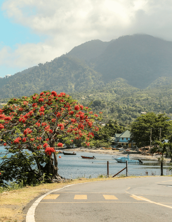 dominica-citizenship-key-benefits